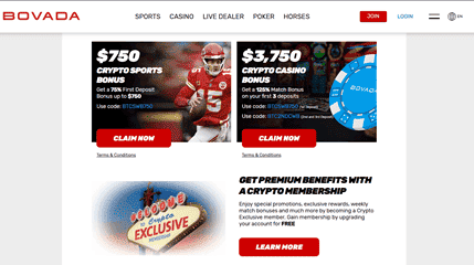 Bovada USDT casino review screenshot 1